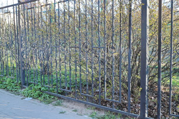 istock black fence with bushes on a spring morning 1221009767