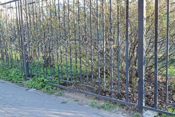 istock black fence with bushes on a spring morning 1221009896