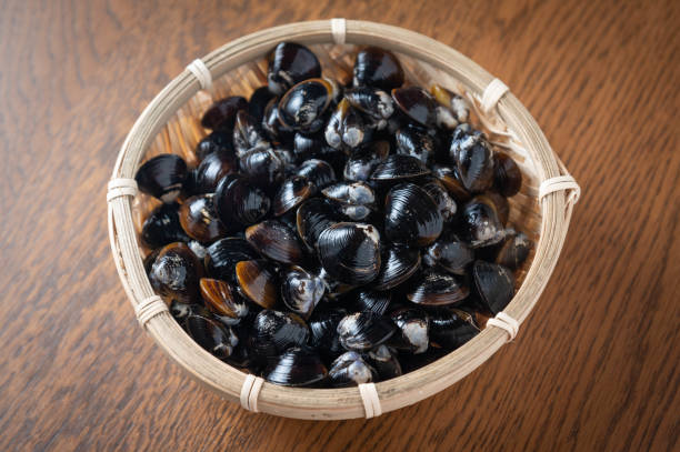 istock Shijimi clam, japanese freshwater clam 1221013147