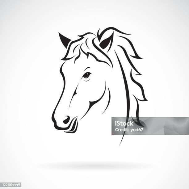 Vetores de Desenho De Cabeça De Cavalo e mais imagens de 2015 - 2015,  Animal, Animal de estimação - iStock