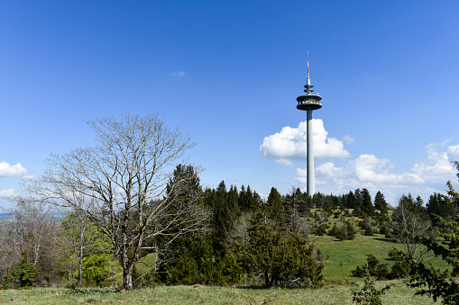 Plettenberg summit 1.002 m located in Zollernalbkreis, Baden-Württemberg, Germany.
