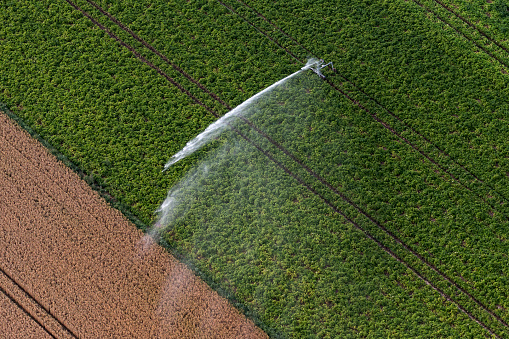 France, Ile de France, Oise, Saussay-la-Campagne, Watering a beet field