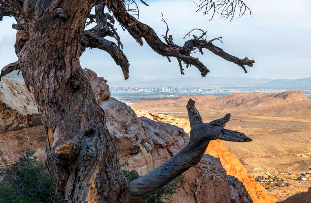 Las Vegas skyline looking from Red Rock National Conservation Area.