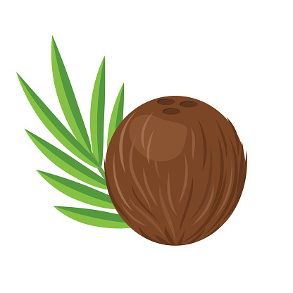 Coconut With Leaf Flat Design Stock Illustration - Download Image Now -  Coconut, Coconut Palm Tree, Cartoon - iStock