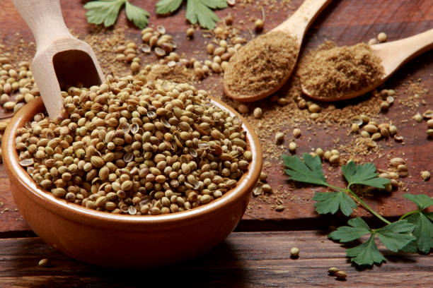 istock Coriander or Cilantro Leaves Seeds and Powder 1221022905