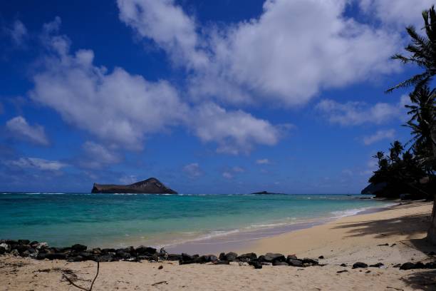 istock Ancient Hawaiian Pa'honu fishpond 1221024107