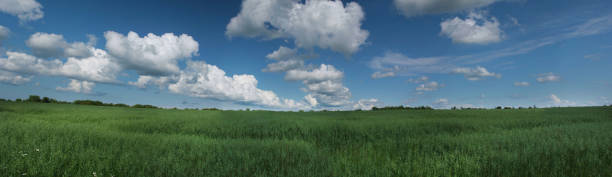 istock Panorama of the field and Big clouds. 1221024392