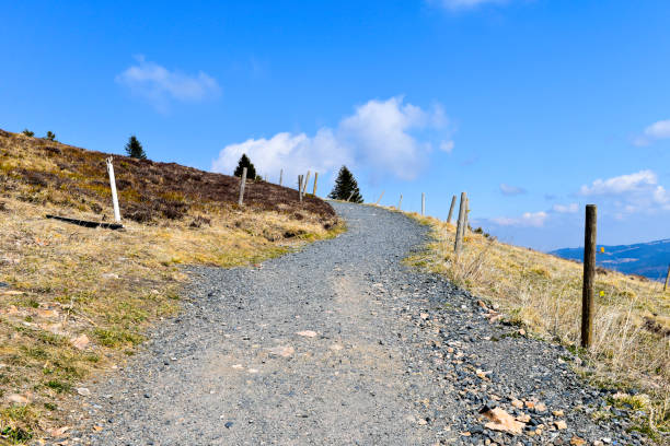 istock Hiking trail at the Mt.Belchen. 1221027268