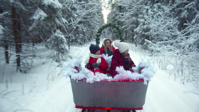 Family fast rides on a sleigh in a snowy forest