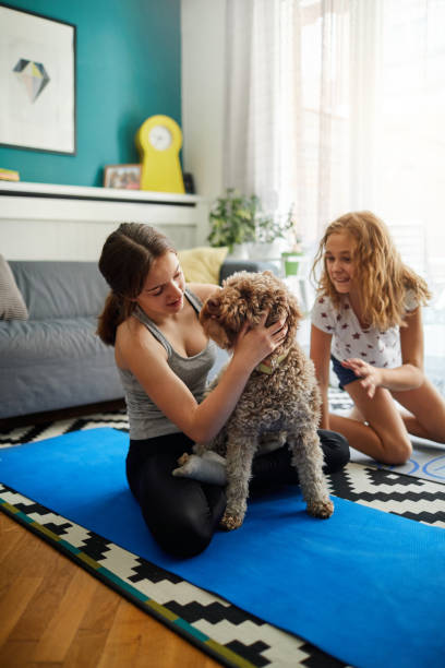 istock Sisters Practicing Yoga At Home With Instructor Online 1221031825