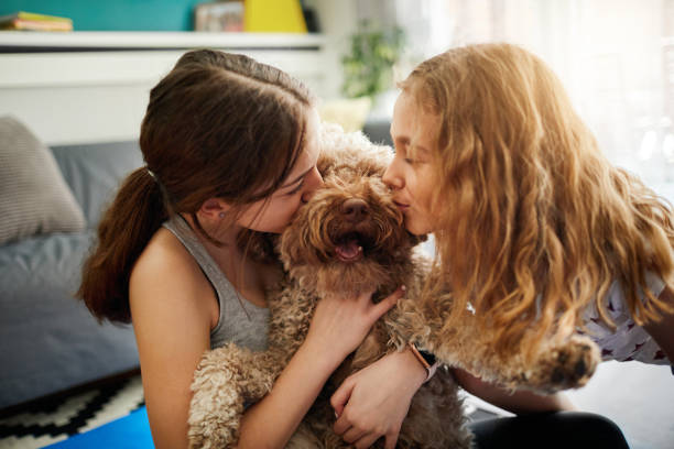 istock Sisters Practicing Yoga At Home With Instructor Online 1221031854