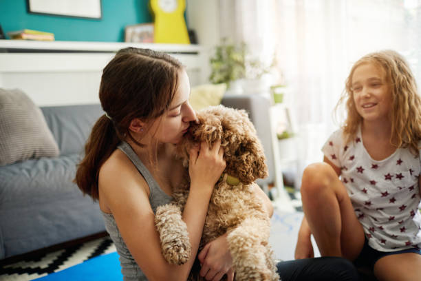 istock Sisters Practicing Yoga At Home With Instructor Online 1221031862