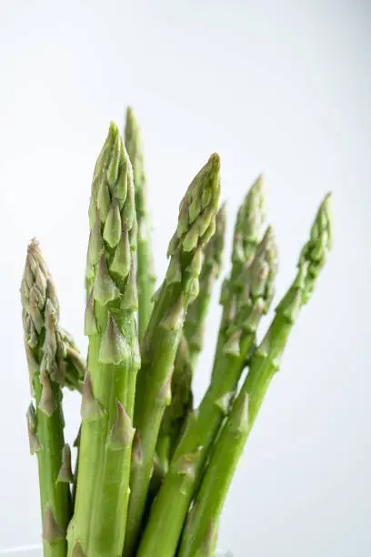 Photo of Green fresh asparagus