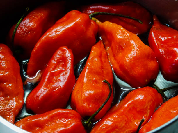 istock Red Chillies soaked in water 1221036180