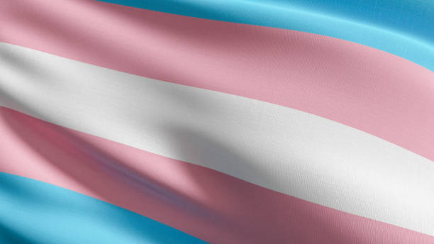 Transgender flag. Community, LGBT worldwide which have adopted the Rainbow flag, the various transgender individuals, organizations around the world. 3d illustration. stock photo