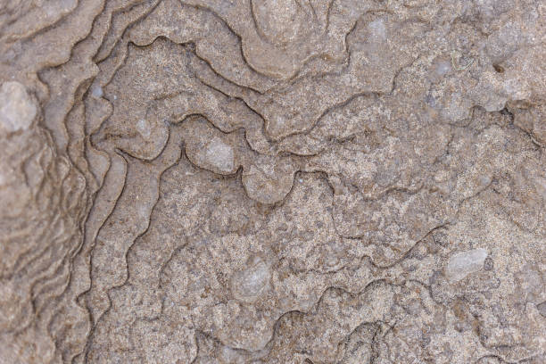 istock Close up shot of abstract frozen sand formations creating interesting patterns 1221039324
