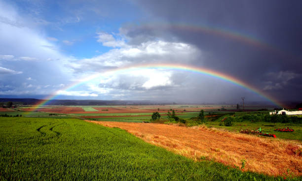 istock Landscapes in Castille, Spain 1221041006