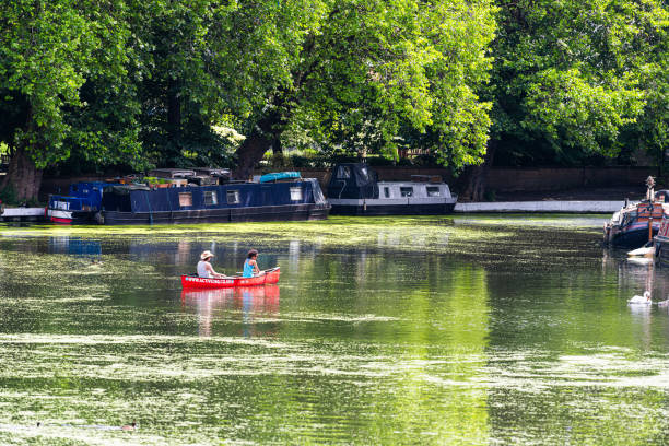 Neighborhood of Little Venice Italy canal boats during sunny summer day and people in canoe London, UK - June 24, 2018: Neighborhood of Little Venice Italy canal boats during sunny summer day and people in canoe rowboat with reflection small houseboats stock pictures, royalty-free photos & images