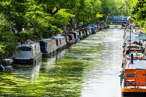 London, UK - June 24, 2018: Little Venice neighborhood and houseboats in canal boats ships with dirty polluted duckweed water during sunny summer day