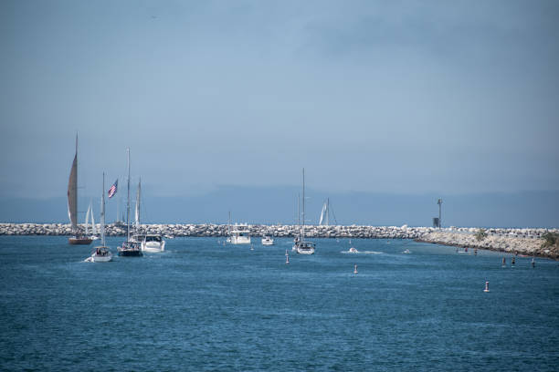Yachts are moored to buoys in the sea