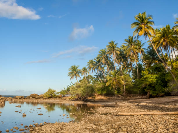 Ile Saint Joseph island in archipelago of Iles du Salut (Islands of Salvation) in French Guiana