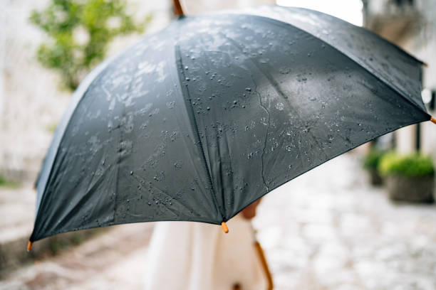 아이가 우산을 들고 포즈를 취하고 있다. 비가 내리는 동안 드레스를 입은 어린 소녀가 우산 아래 서 있습니다. - wet dress rain clothing 뉴스 사진 이미지
