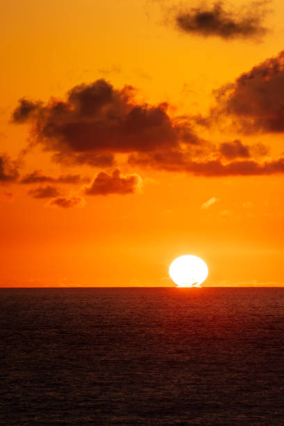 istock Sunset at the terry pine beach 1221058474