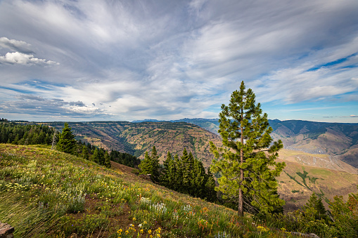 A view into the Seven Devils Mountains region of Idaho from across the Snake River at Hell's Canyon in Oregon.
