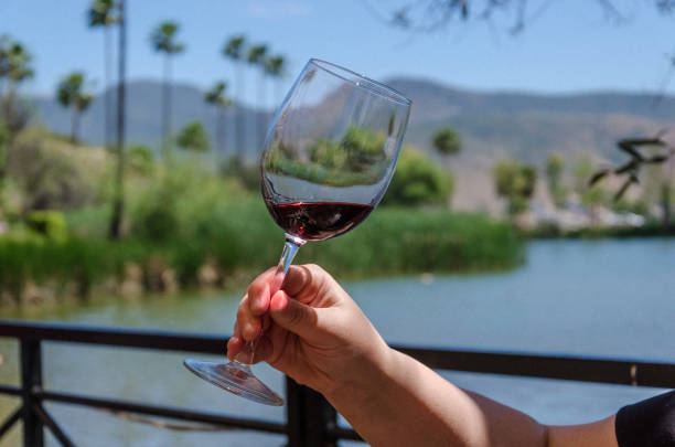 istock Glass of red wine at lake 1221065563