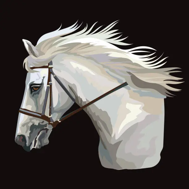 Vector illustration of Colorful horse portrait vector 30