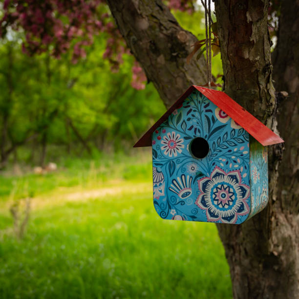 istock Birdhouse with a bit of Whimsy 1221066861