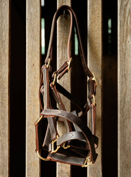 istock Bit and Bridle Hang On Horse Stable 1221067005