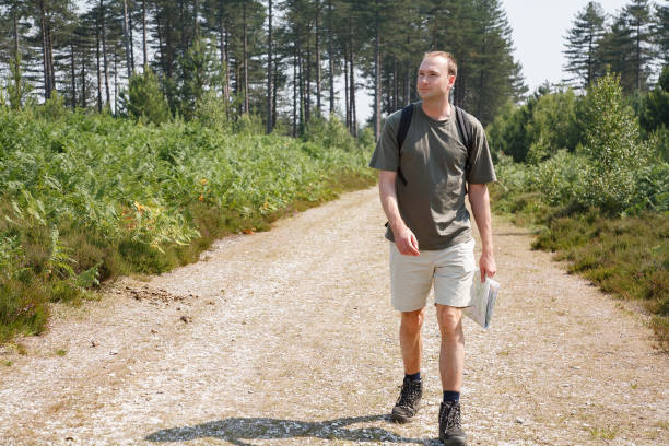 homme randonnée seule dans la nouvelle forêt, angleterre, royaume-uni - map uk hiking reading photos et images de collection