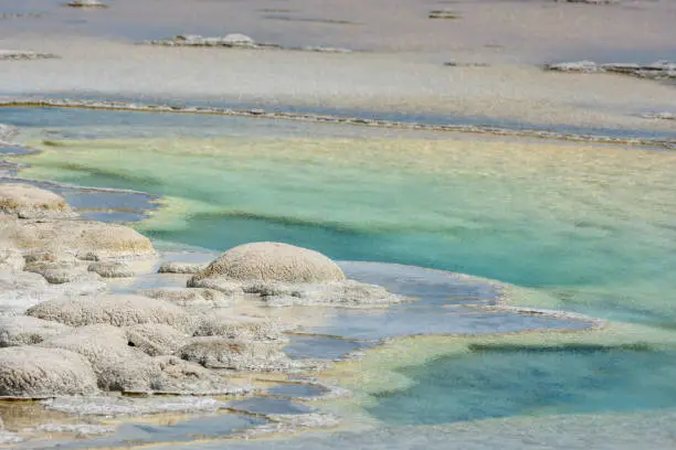 Photo of Bulbous Deposits of White Residue on Hot Spring Shore