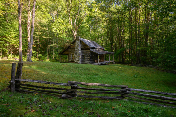 istock Log Cabin in Little Cataloochee 1221075165