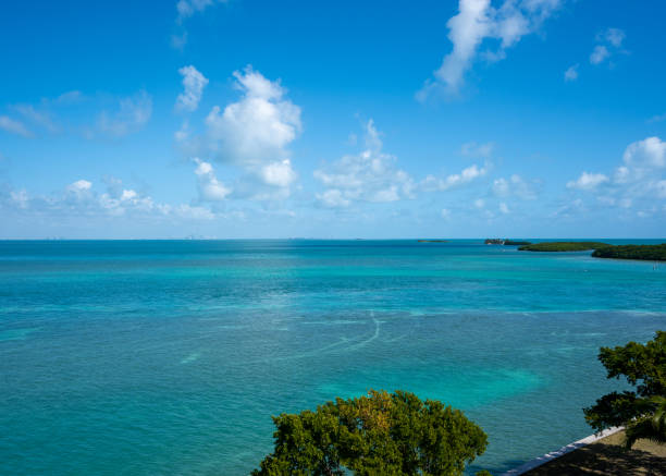 istock Looking Out From Boca Chita Key 1221075857