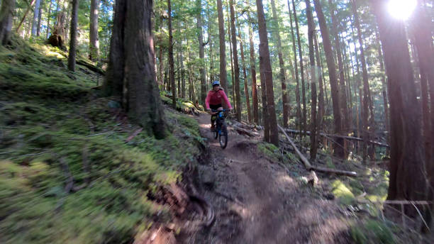 istock Female mountain biker rides along forested path 1221079816