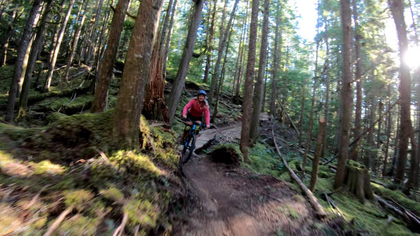 istock Female mountain biker rides along forested path 1221079944