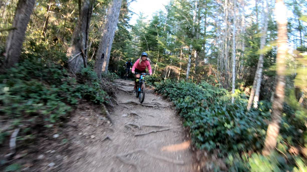 istock Female mountain biker rides along forested path 1221079978