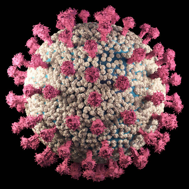 istock coronavirus cell or covid-19 cell disease 1221082221