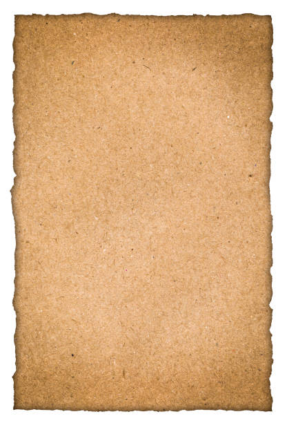 istock Old parchment, unique paper background. Vintage template for design. 1221083247