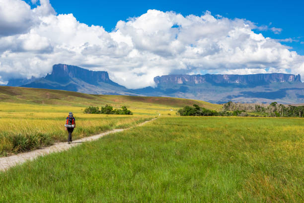 Man alone during trekking at Monte Roraima. Man alone during trekking at Monte Roraima. mount roraima south america stock pictures, royalty-free photos & images