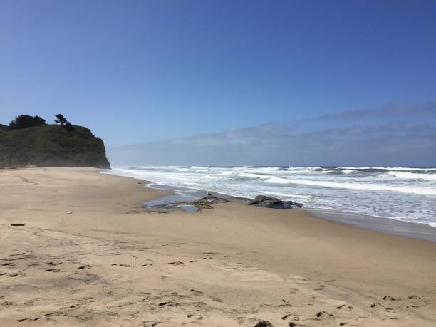 istock Pomponio State Beach, California, USA 1221087423