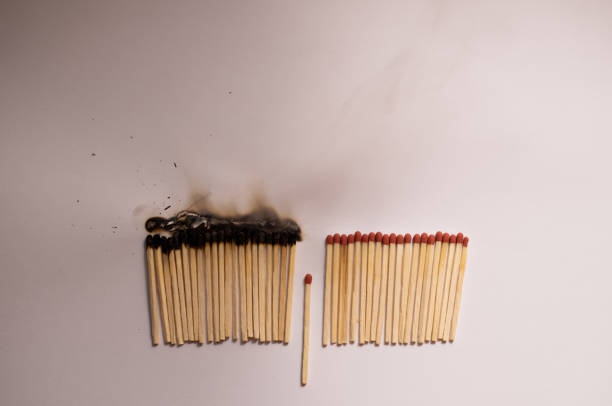 A macro photo capturing the intricate details and vibrant glow of two pieces of burning Palo Santo wood, highlighting the aromatic smoke and natural beauty.