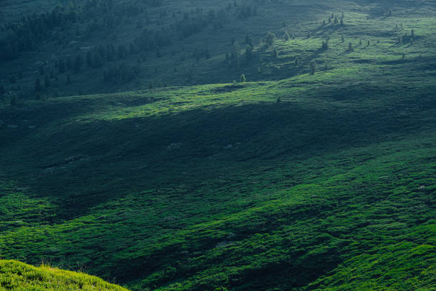 Grassland and mountains in a cloudy day. Shot in Xinjiang, China.