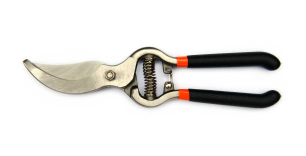 istock Black garden secateurs isolated on a white background. 1221100221