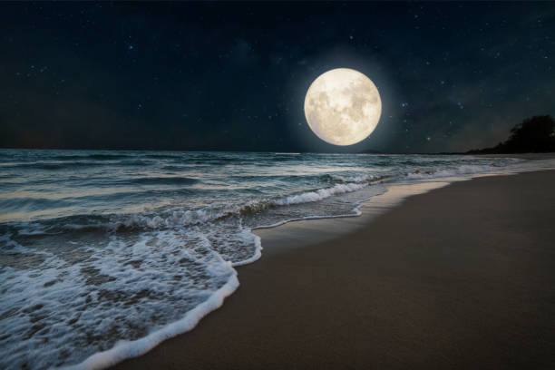 Summer season, honeymoon in night skies background concept. Beautiful nature fantasy - romantic beach and full moon with star. Retro style with vintage color tone. Summer season, honeymoon in night skies background concept. fantasy moonlight beach stock pictures, royalty-free photos & images