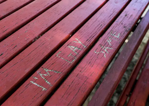 Close up photo of graffiti about homosexuality carved into a park bench