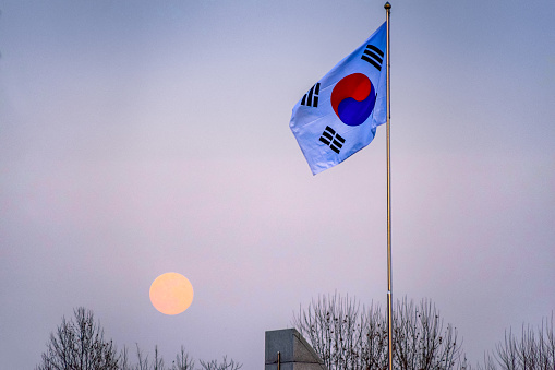 Seoul,South Korea 1/10/2020\n\nSouth Korean Flag in Seoul National Cemetery