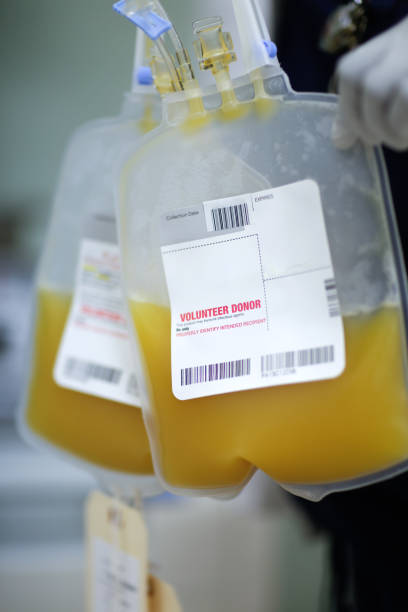 Human Blood Platelets Bags of plasma/blood platelets. Identifiable barcode altered and identification information removed. blood plasma stock pictures, royalty-free photos & images